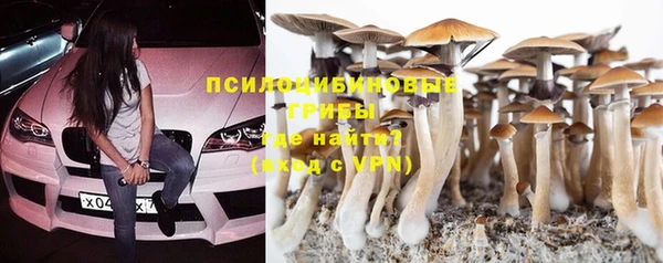 ПСИЛОЦИБИНОВЫЕ ГРИБЫ Бронницы